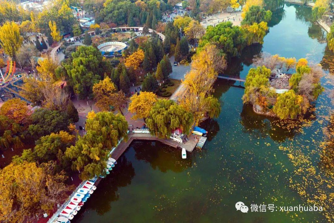 宣化人民公园深秋美景上线,打卡古城最美秋色!_生活_湖面_宁静