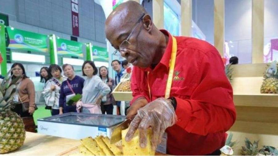 完美电竞非洲贝宁菠萝实现最快输华力争一年30万吨！进博会成进口水果最“卷”现场(图5)
