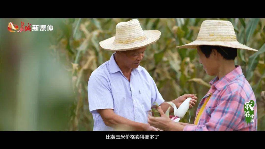 靠山吃山 走进黟县看五黑_食物_产品_纪录片