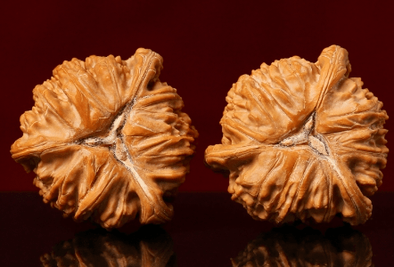 8888元买对文玩核桃假三棱,还大呼真便宜,太有才!_购物_价格_玩友