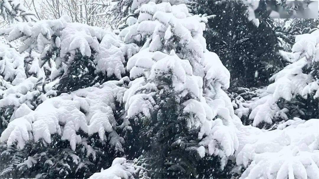 长春理工大学雪景图片