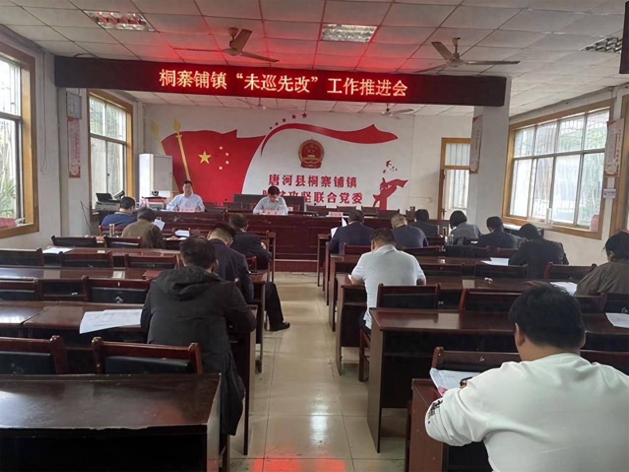 唐河县桐寨铺镇:召开"未巡先改"工作推进会