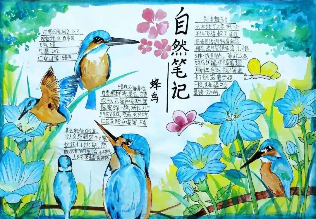 "少年儿童心向党"自然笔记优秀作品展播
