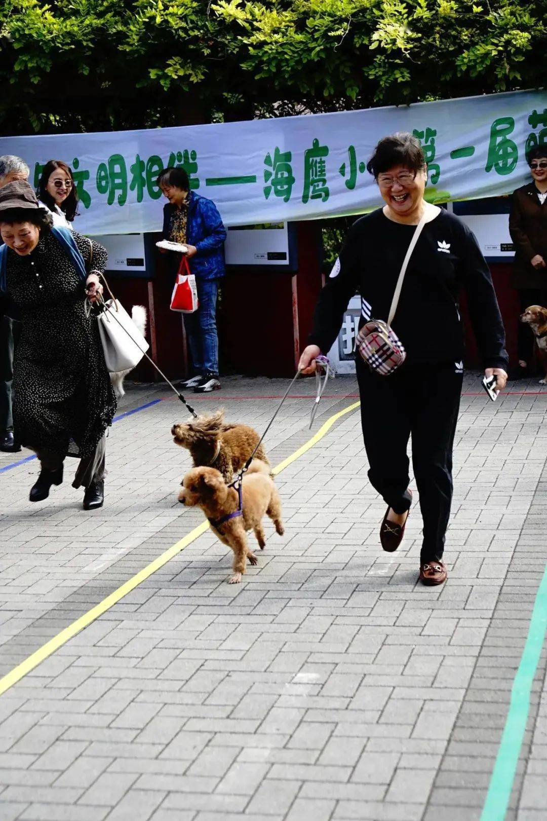 走秀飞盘往返跑在这场萌宠运动会上ta们推广文明养宠理念
