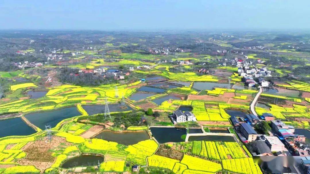 耒阳撤区并乡发展史——乡镇名称及隶属变化过程_街道办事处_称呼_马