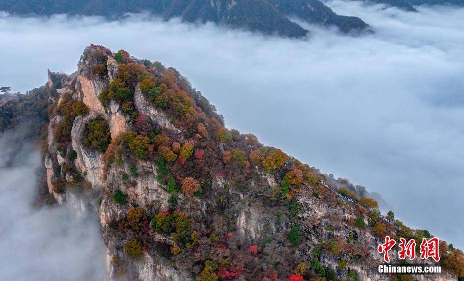 陕西秦岭:雨后天晴 云海入画来