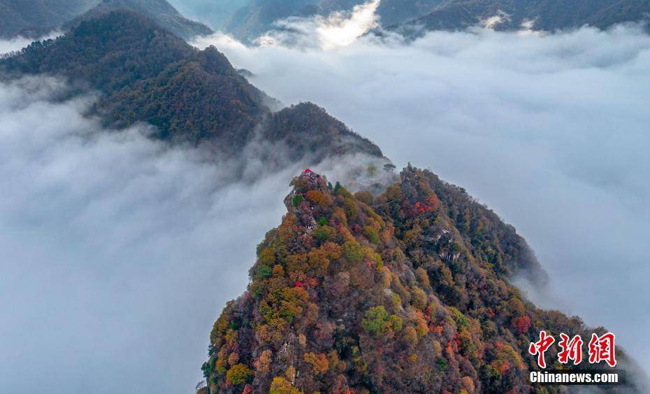 陕西秦岭:雨后天晴 云海入画来