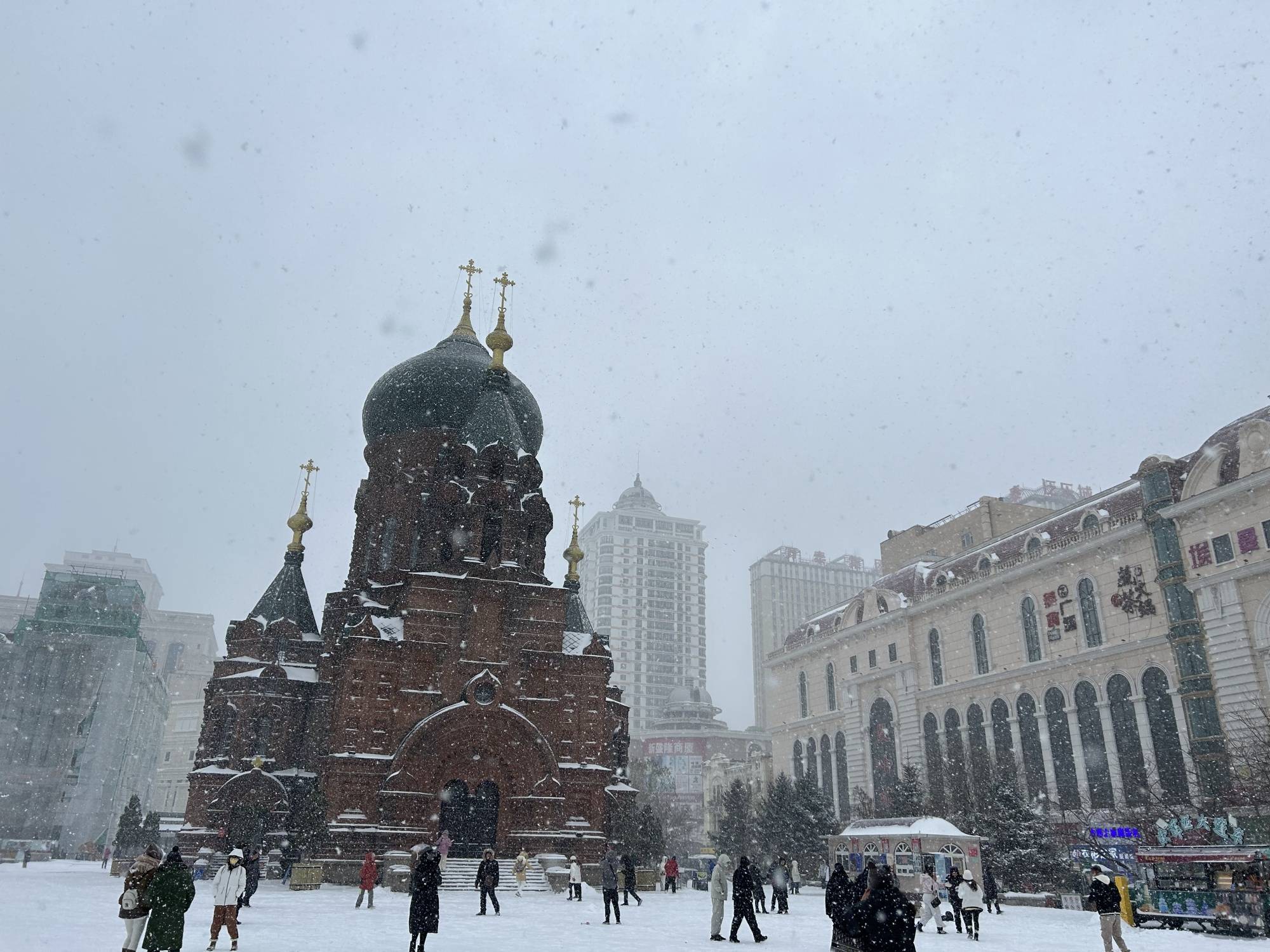 组图直击|大暴雪！黑龙江哈尔滨鹤岗等多地降雪猛烈