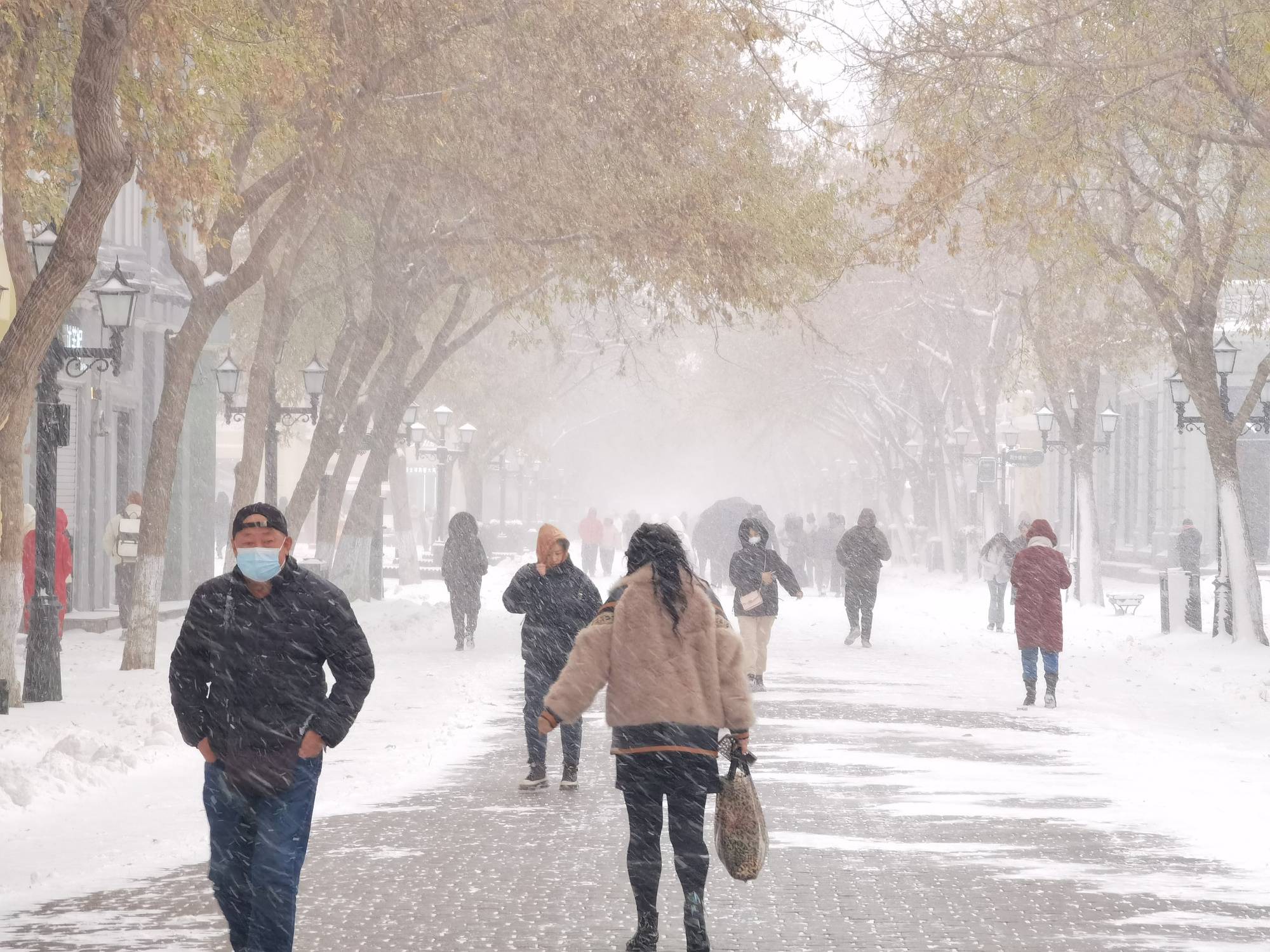 组图直击|大暴雪！黑龙江哈尔滨鹤岗等多地降雪猛烈-第3张图片-太平洋在线下载