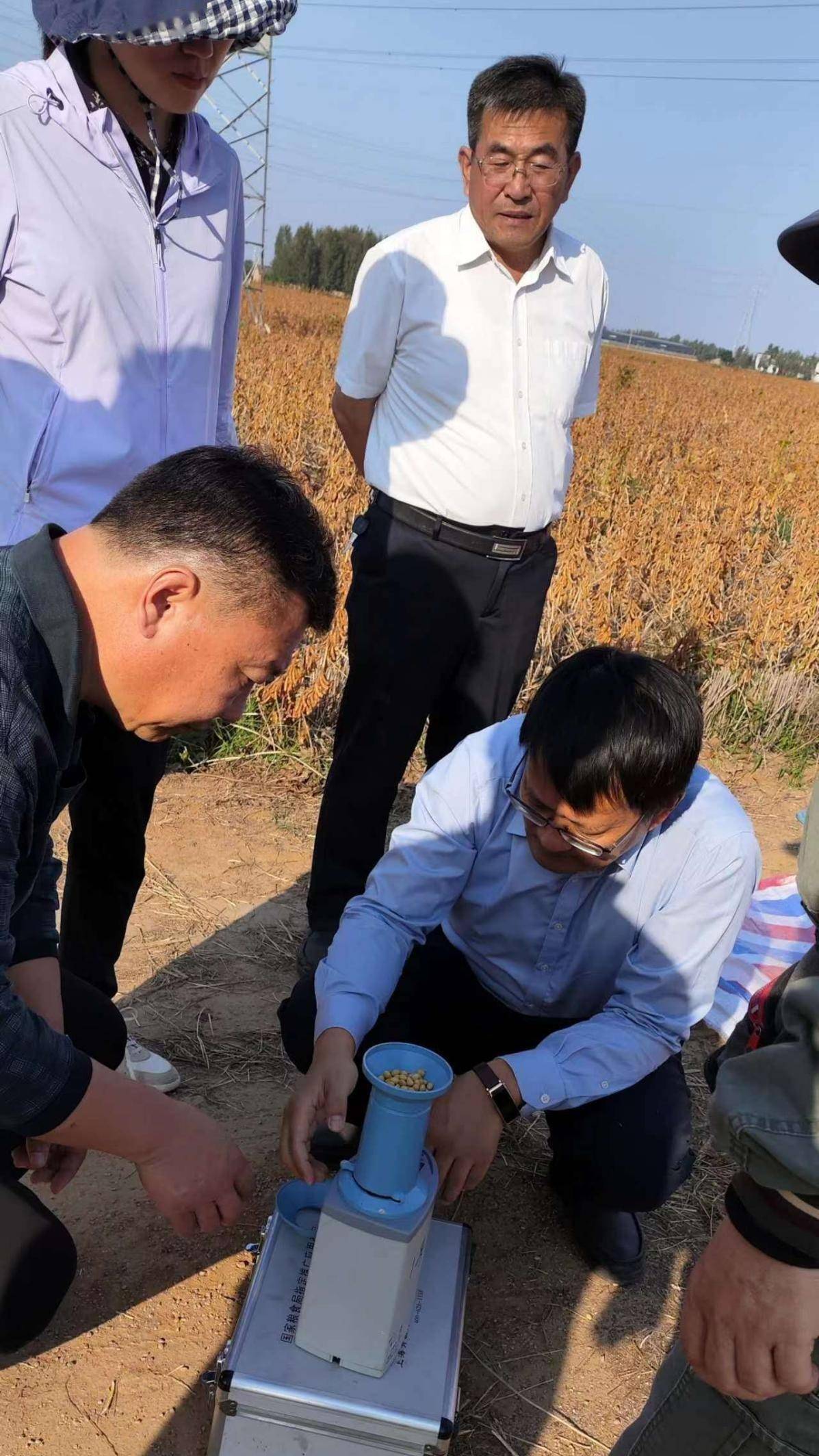 70公斤!曲阜市陵城镇大豆刷新山东省大豆单产记录_推广_技术_全市