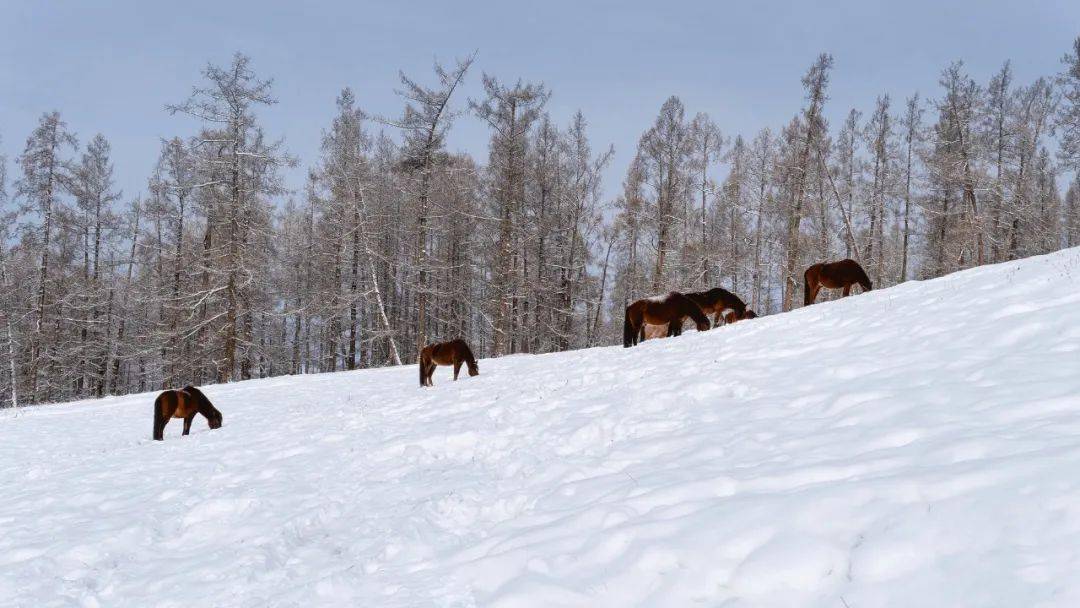 群公机识早,遁海送妻雏.凤阁烟萝散,沈腰玉带枯.