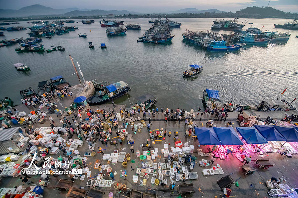 广东茂名:繁忙的博贺渔港_景象_刘国兴_码头