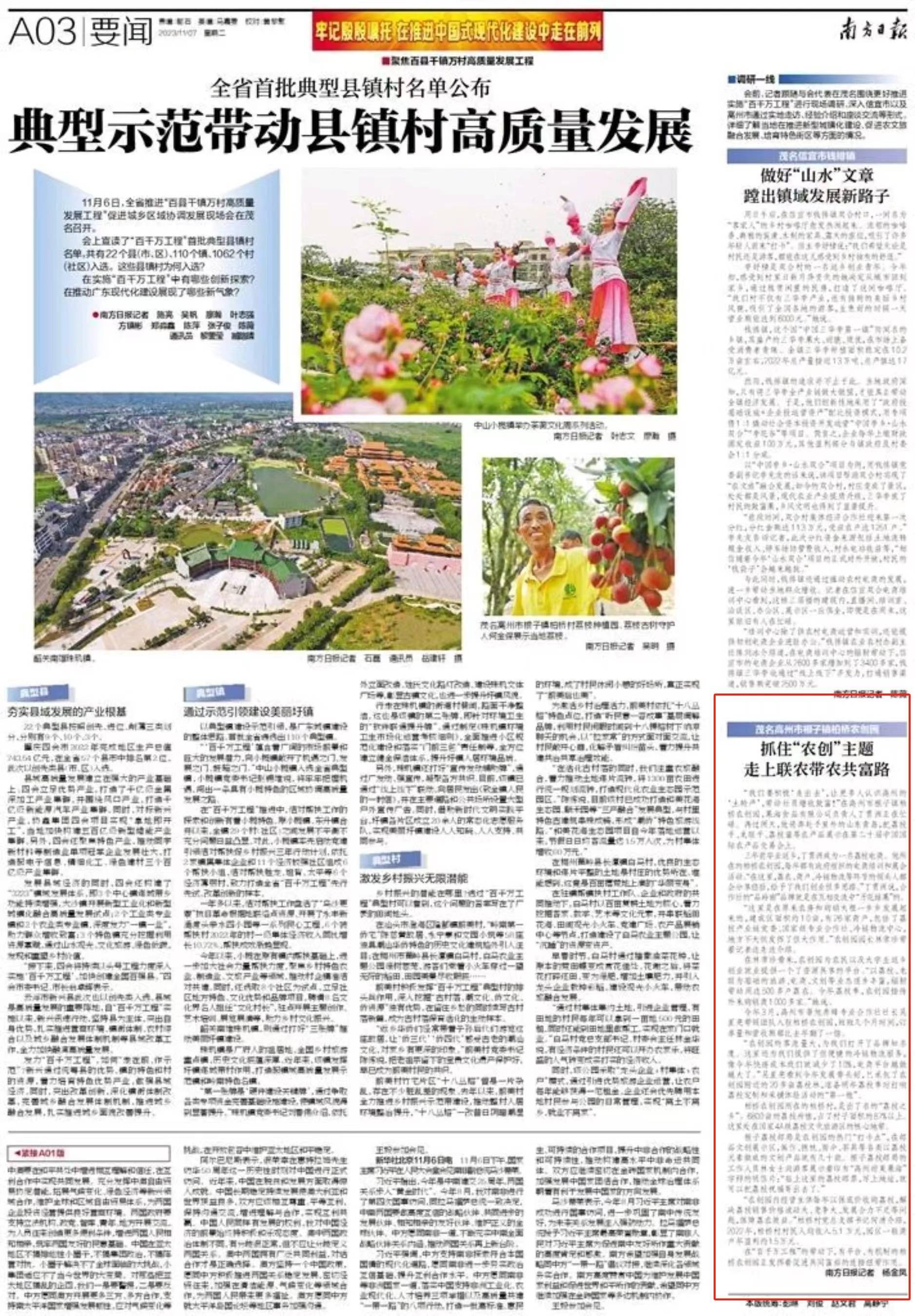 南方日报报道|高州柏桥:抓住"农创"主题,走上联农带农共富路_荔枝_根