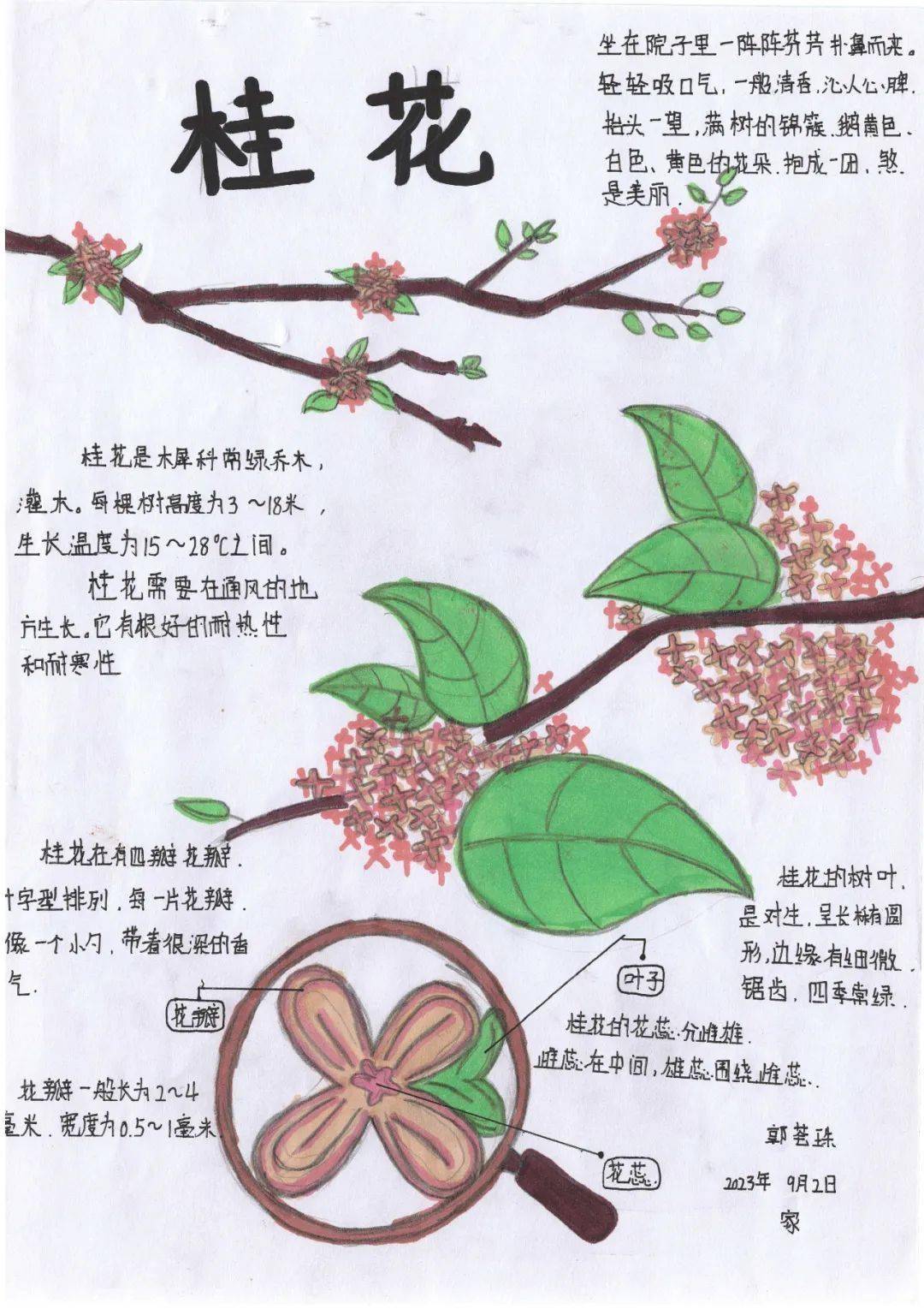 山西省青少年"一起向自然"2023年生物多样性自然笔记征集活动获奖作品