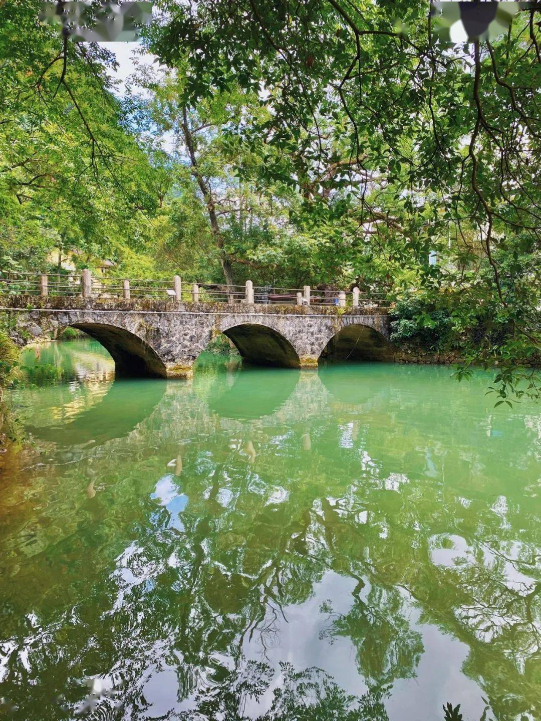 图源/公众号@融安圈liuzhourongan-石门仙湖景区-石门仙湖的美是多样