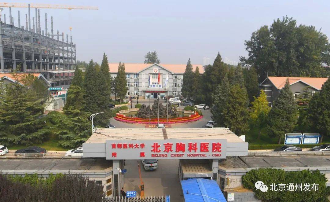 北京胸科医院号贩子黄牛联系方式《提前预约很靠谱》的简单介绍
