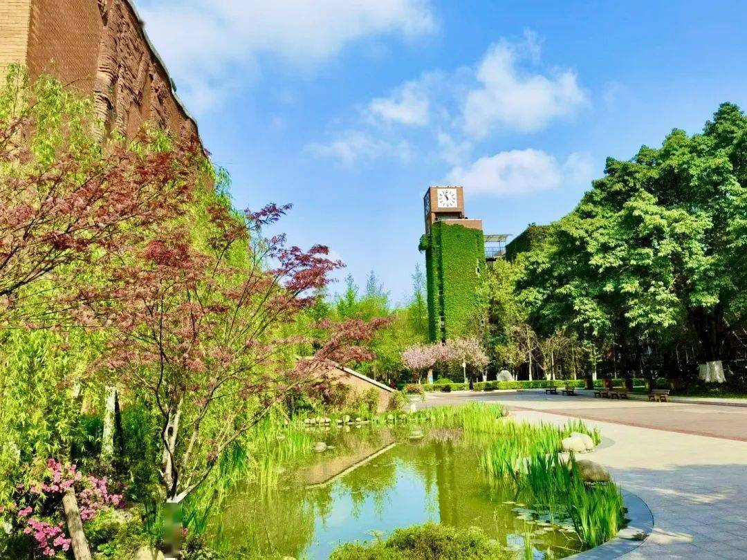 2023年四川省成都华西中学招聘启事_教育_创新_全国