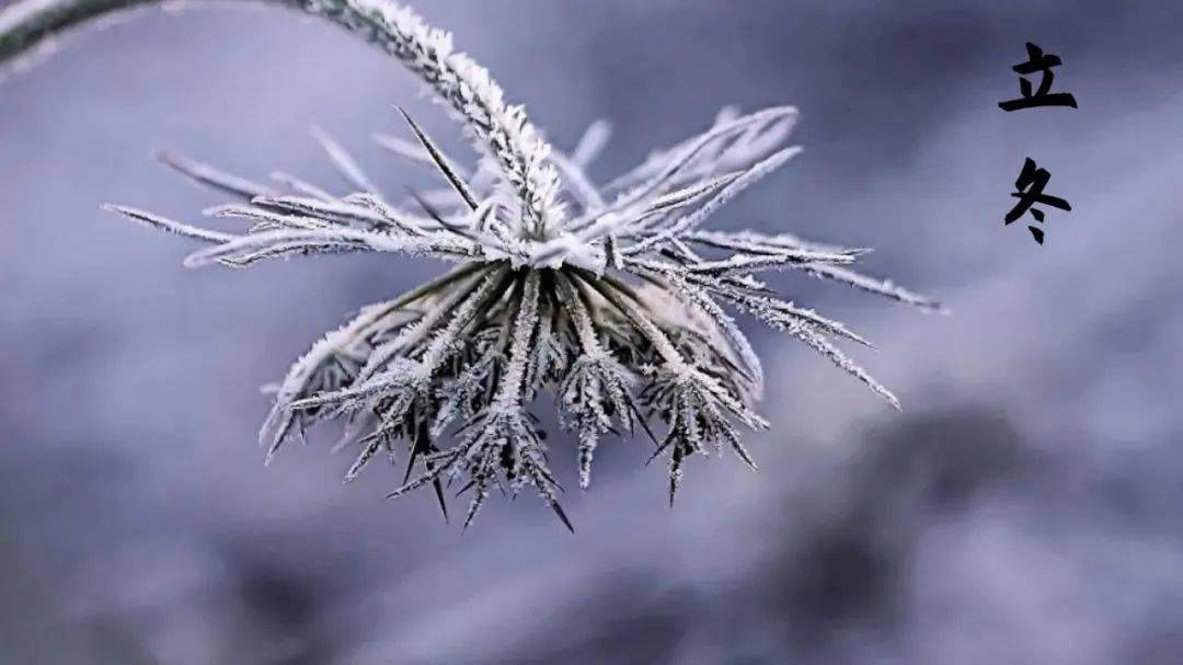 愿你三冬暖,愿你春不寒_西风_季节_北风
