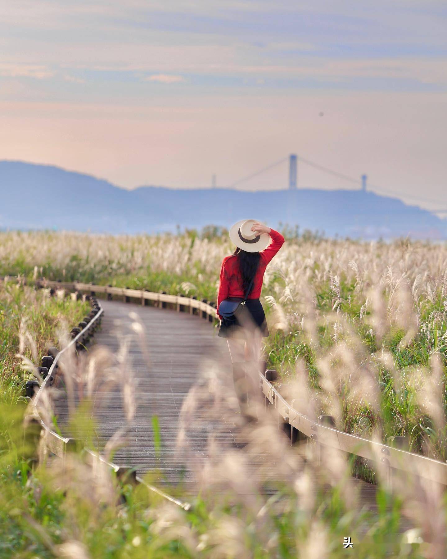 芦苇人像摄影技巧大公开:如何拍摄出深秋美照?_照片_背景_画面