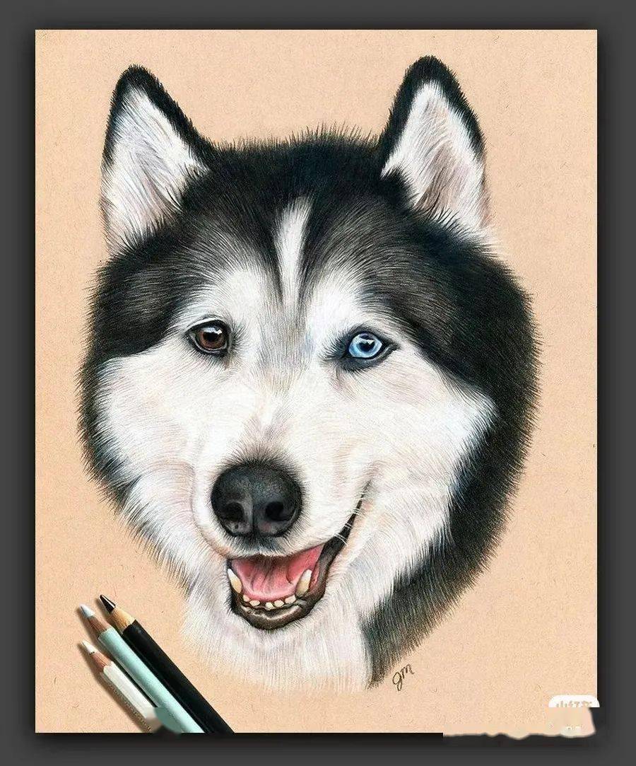 彩铅| 有色纸上的艺术狂欢_作品_交流_归原