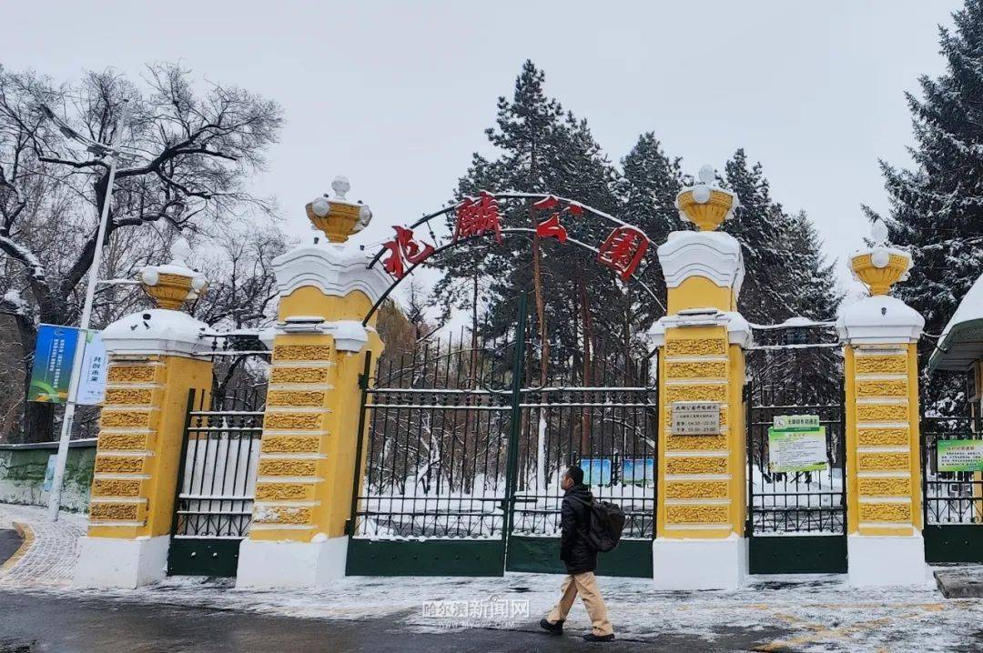 【迎战暴风雪】兆麟公园临时闭园,别白跑→_游园_哈尔滨市_手机