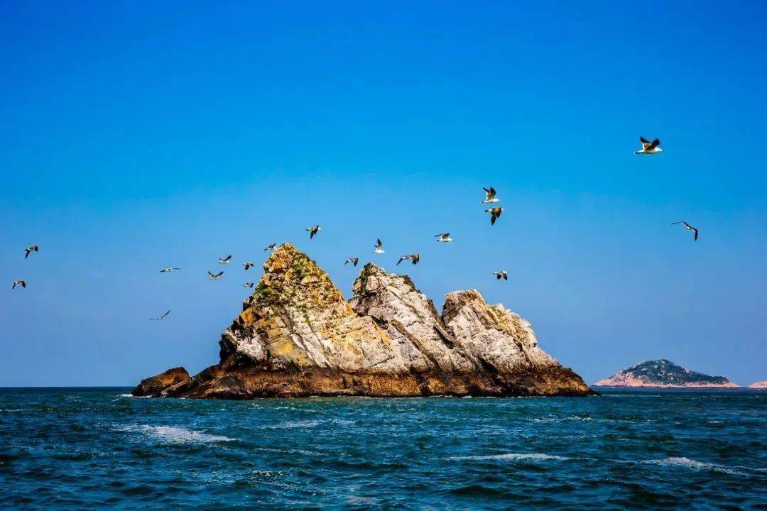 景区优惠,接驳,停车……_温州_门票_江心屿