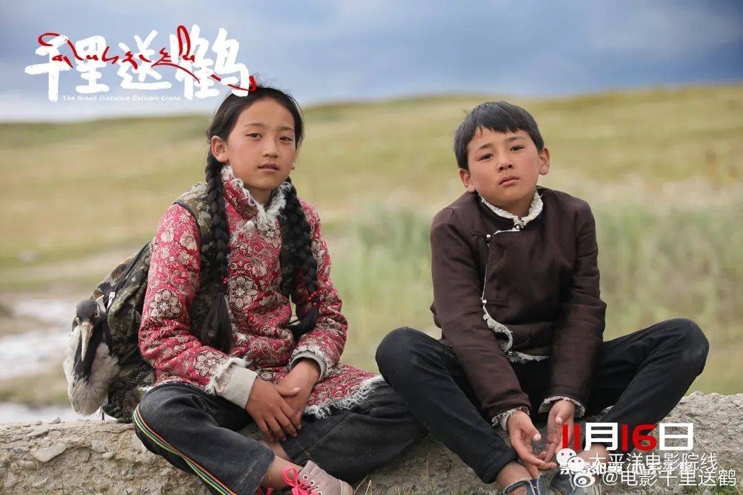 影片《千里送鹤》定档11月16日 亲情如翼心系千里_黑颈鹤_拉多杰_文化