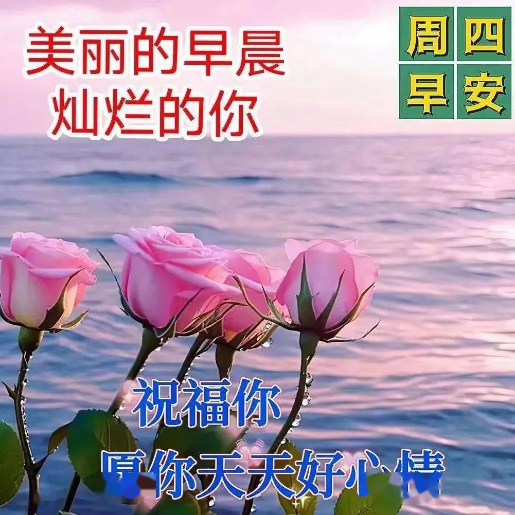 今日最新早上好表情图片大全,简单问候,快乐祝福,_阳光_经历_短信