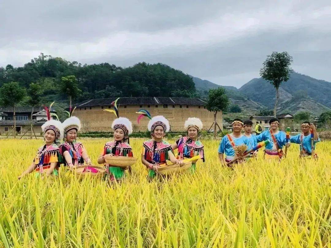 四季全时秋赏稻高山族丰年祭
