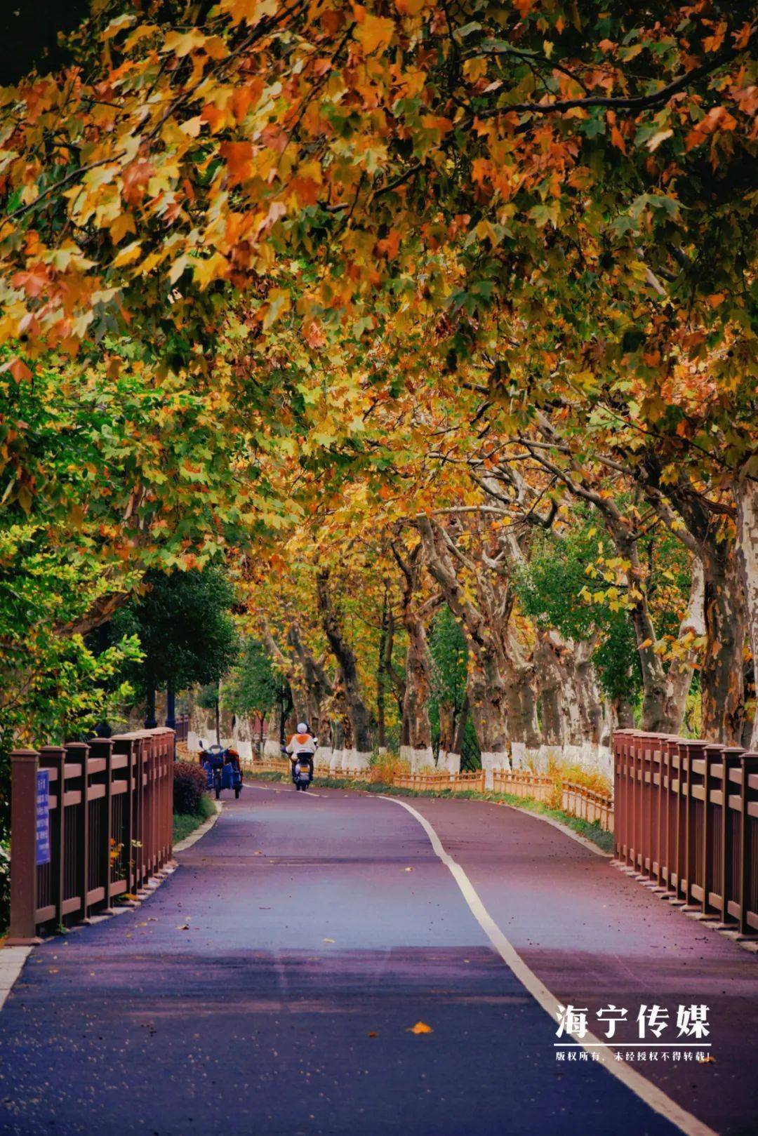 这么冷的天,不禁让大潮君怀疑,现在究竟是什么季节?