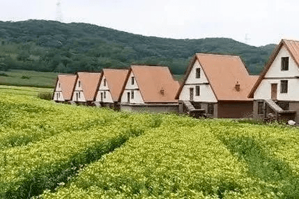 罗通山,云岭的山水之魂;五七干校,罗通山历史文化展馆的红色之火;大米