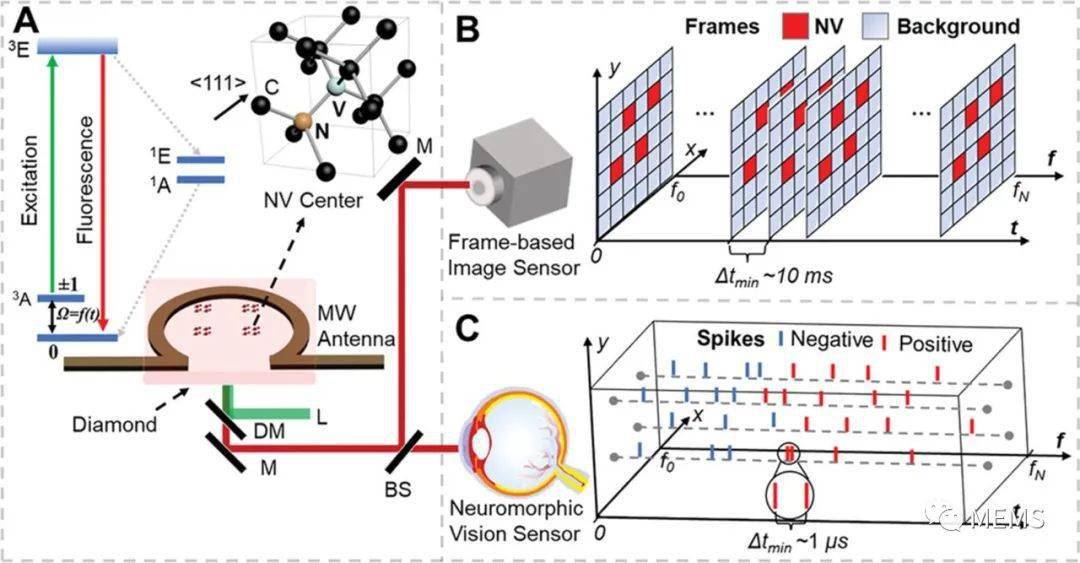 基于神经形态视觉传感器的宽场金刚石量子传感_测量_研究重点_时间