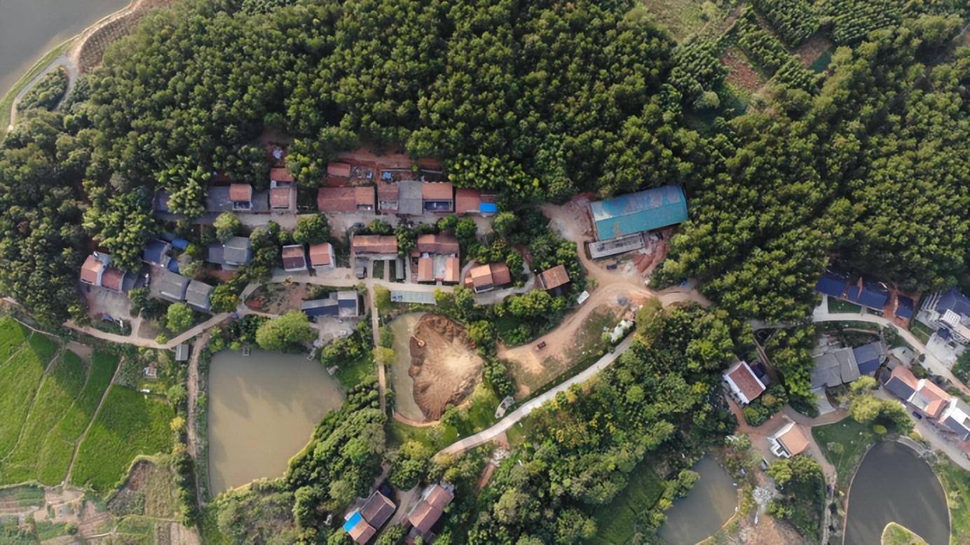 海洋村鸟瞰廖方勇感慨:"这些年湖泗街道有句话叫悠悠万事,海洋为先.