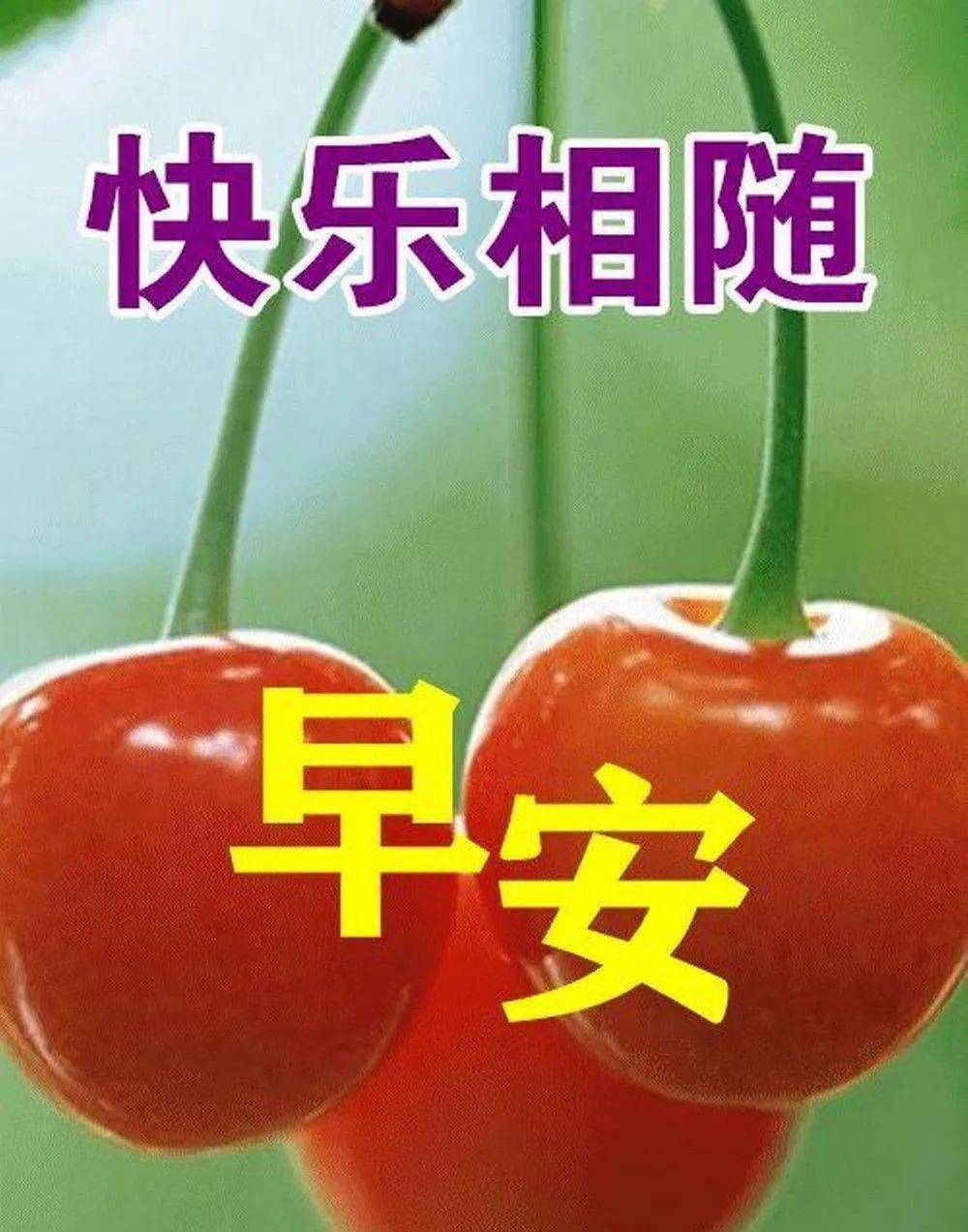 最新创意好看的早上好祝福图片