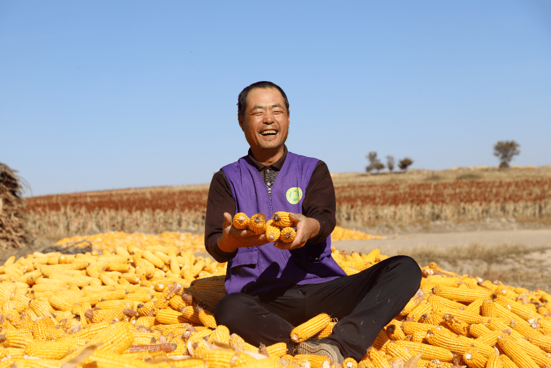 探索高质量发展"最优解",突泉县这么干_项目_工作_建设