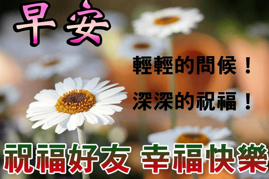 今日最新版早安問候大全,創意好看的早上好祝福圖片帶字溫馨_手機