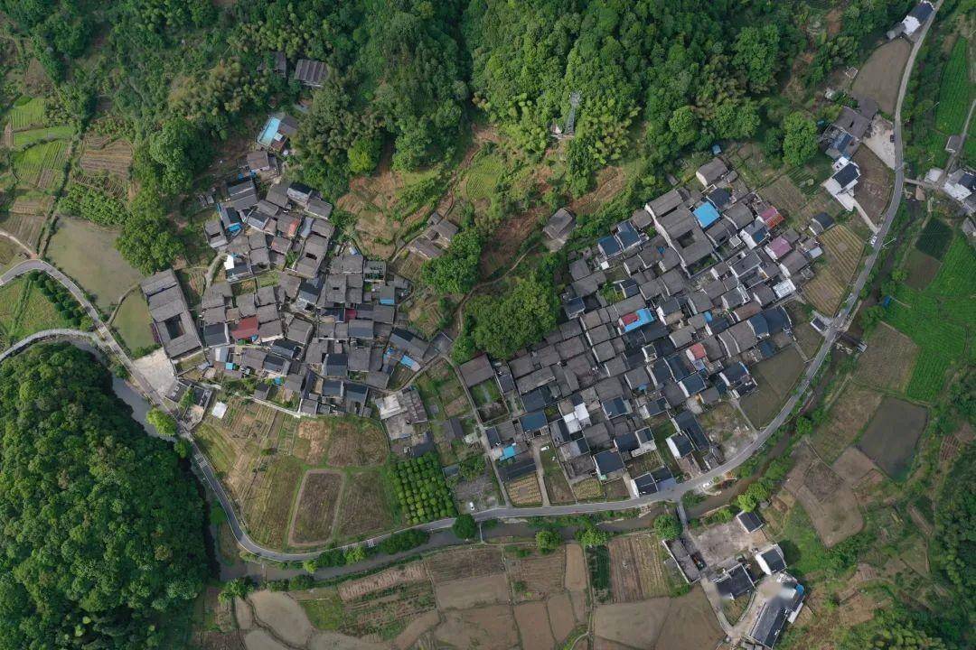 绿色王国 品味祁红——黄山市100网红打卡点之八_祁门_安徽省_历史