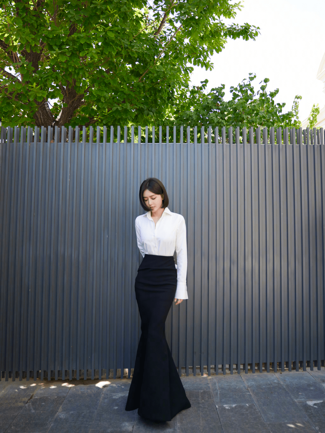 秦岚_比例_职场