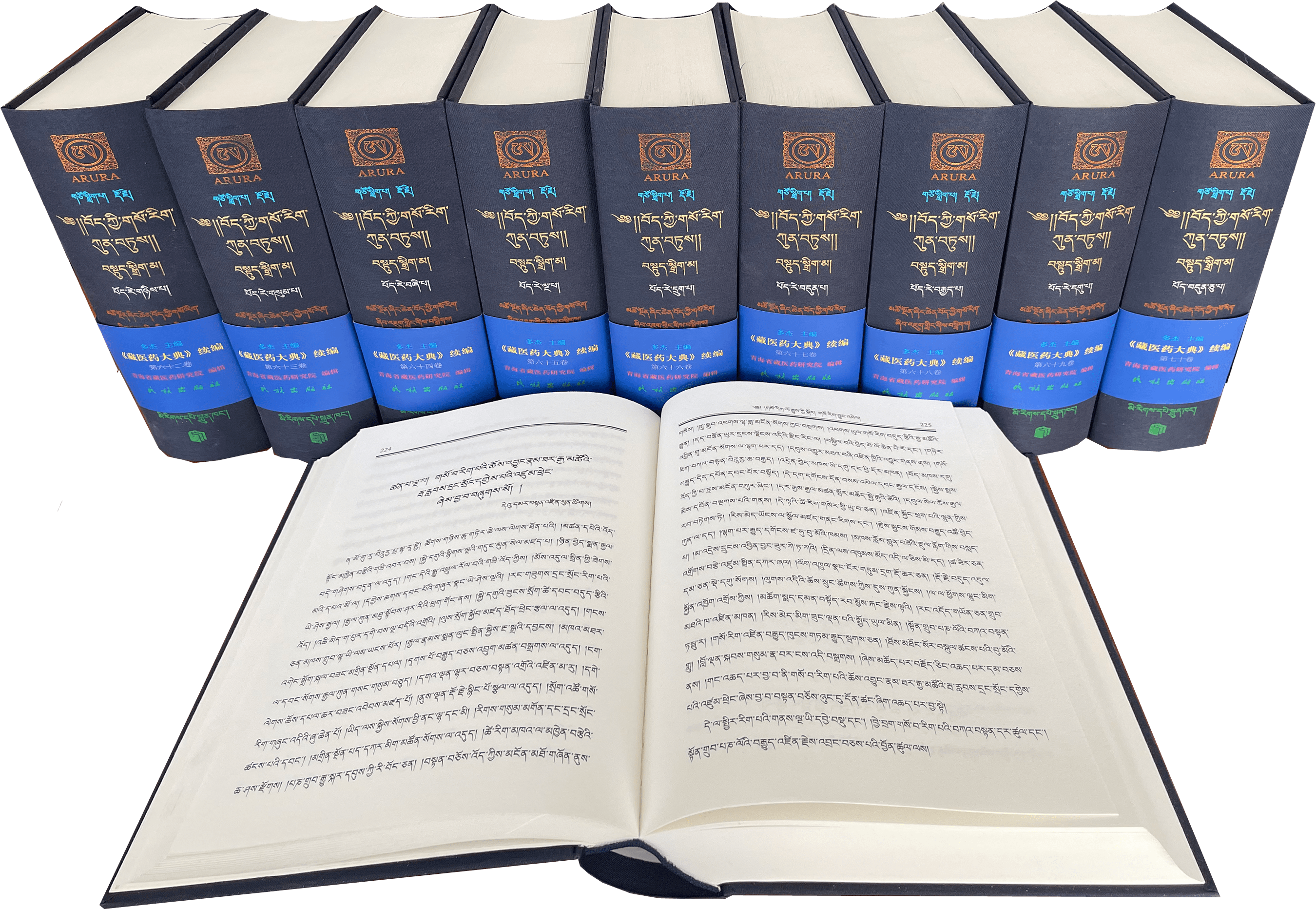 藏医药古籍文献《藏医药大典》续编出版发行_研究_青海省_时期