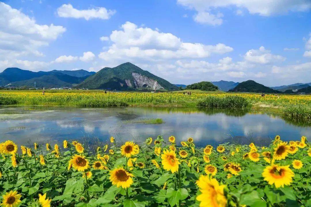 銅鑑湖畔空氣裡彌散著花木的清爽和甜蜜,在自然山水之中穿行,感受生活