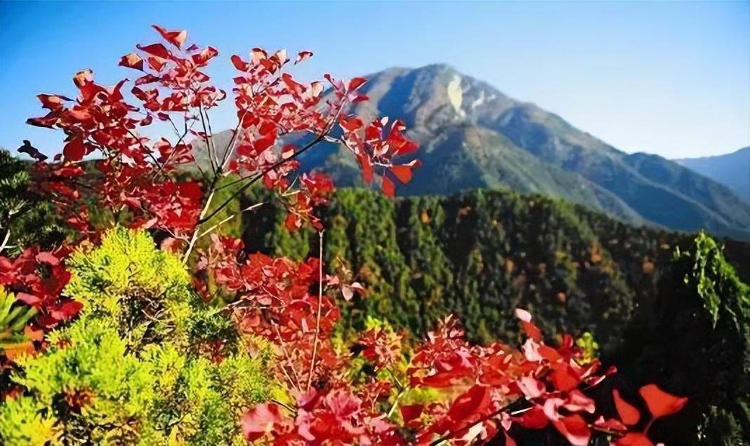 你去過幾個?_群山_太行山大峽谷_景觀