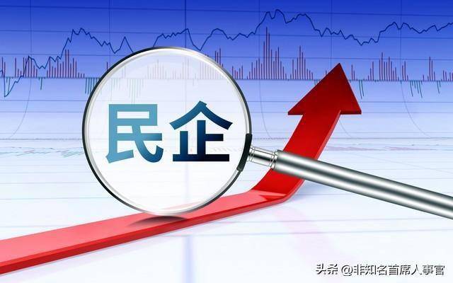 外企人力资源再优秀,也不要拿到民企使用!