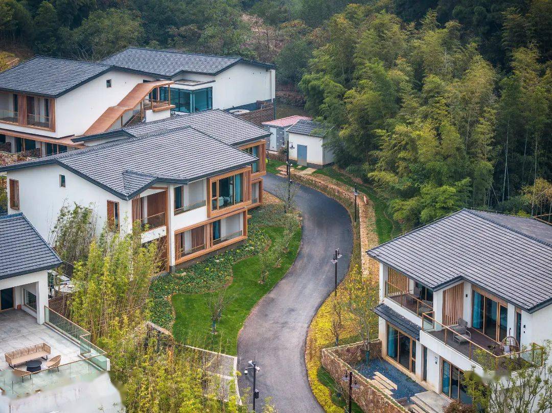 是"青蓝杉谷"度假区——作为江宁旅游康养产业集团旗下重要的文旅产品