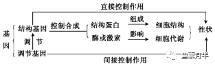 ⑥基因對性狀的控制情況:⑤某dna分子共有a個鹼基,其中含胞嘧啶m個,則