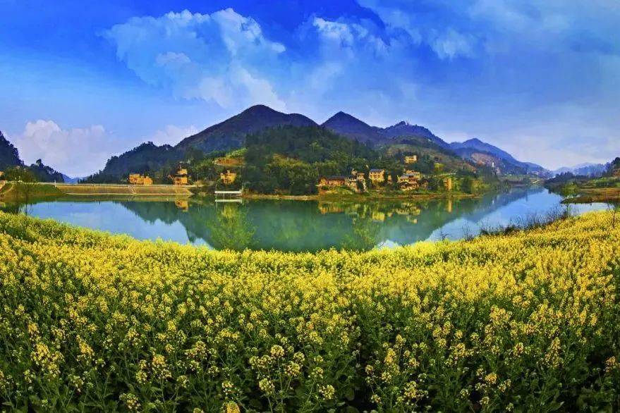 重庆巴南区景点排名图片
