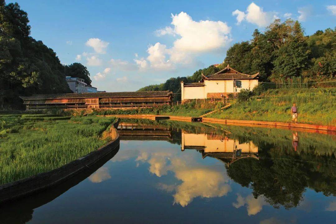 看龙舟赛 逛山水城 品延平味_历史_文化_色彩