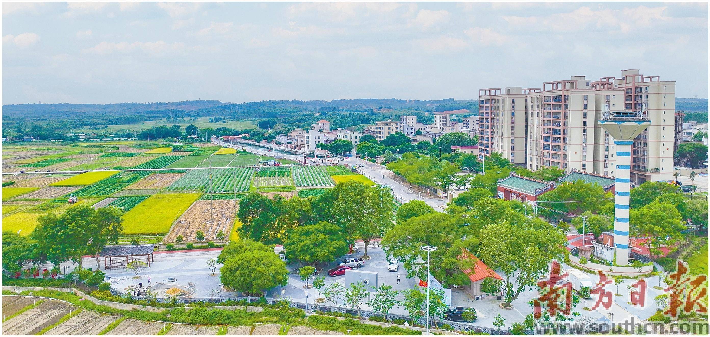 用产业“金钥匙”打开振兴之门_的发展_乡村_建设