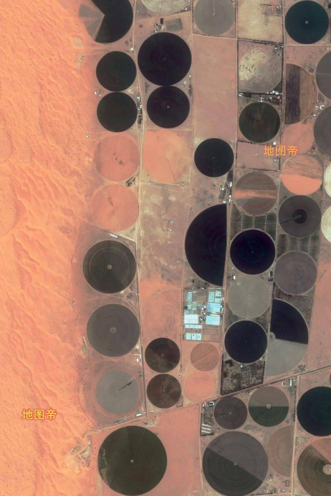 沙特曾是粮食出口国,如今为何半途而废?_农业_沙漠_地下水