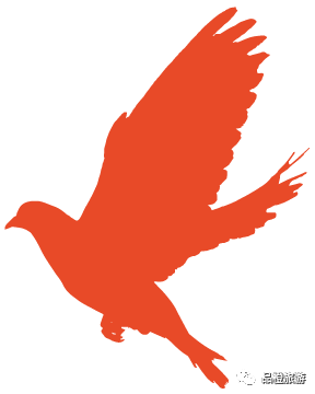 生态旅游:在蓝天碧水里,等鸟飞过