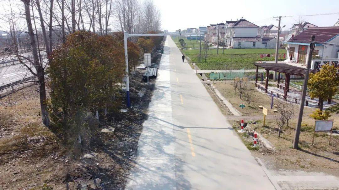 海安西场这里有变._道路_非机动车_规定